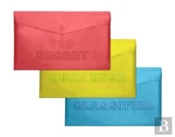 Knock Knock Top Secret Snap Folders