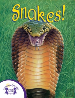 Bertrand.pt - Know-It-Alls! Snakes
