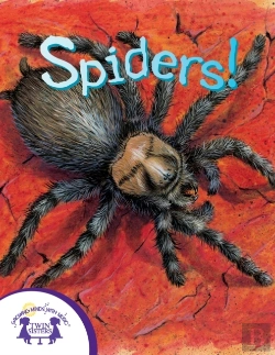 Bertrand.pt - Know-It-Alls! Spiders