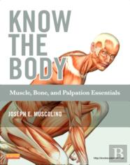 Know The Body: Muscle, Bone, And Palpation Essentials