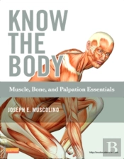 Know The Body: Muscle, Bone, And Palpation Essentials