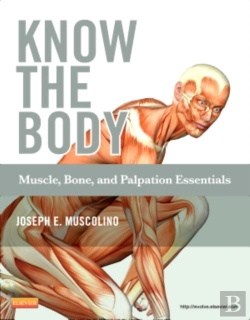 Bertrand.pt - Know The Body: Muscle, Bone, And Palpation Essentials