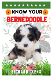 Know Your Bernedoodle