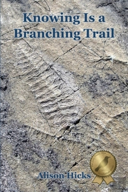 Bertrand.pt - Knowing Is A Branching Trail