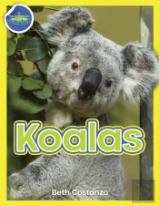 Koala Activity Workbook Ages 4-8