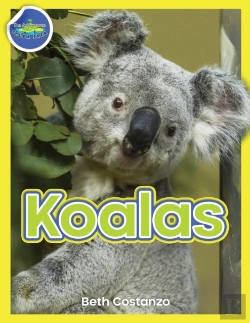 Bertrand.pt - Koala Activity Workbook Ages 4-8
