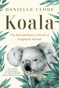 Bertrand.pt - Koala