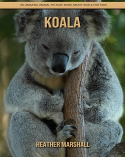 Bertrand.pt - Koala