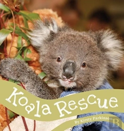 Bertrand.pt - Koala Rescue