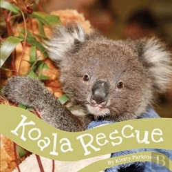 Bertrand.pt - Koala Rescue