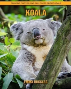Bertrand.pt - Koala