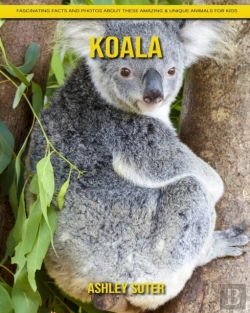 Bertrand.pt - Koala
