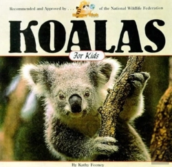Bertrand.pt - Koalas For Kids