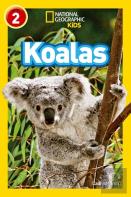 Koalas