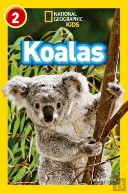 Bertrand.pt - Koalas