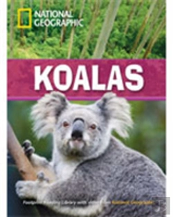 Bertrand.pt - Koalas