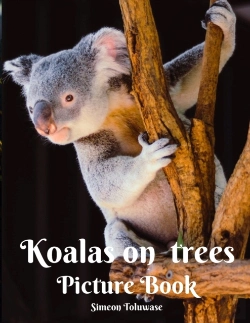 Bertrand.pt - Koalas On Trees Picture Book