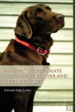 Bertrand.pt - Kodiak ... A Chocolate Labrador Retrieve