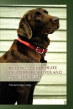 Bertrand.pt - Kodiak ... A Chocolate Labrador Retrieve