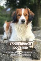 Kooikerhondje Dog Breed