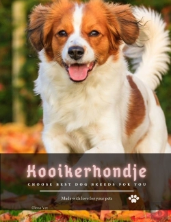 Bertrand.pt - Kooikerhondje
