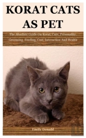 Korat Cats As Pet