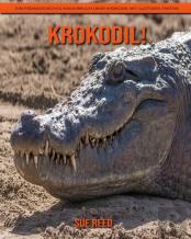 Krokodil! Ein Padagogisches Kinderbuch Uber Krokodil Mit Lustigen Fakten