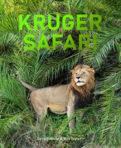 Kruger Safari