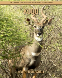 Bertrand.pt - Kudu