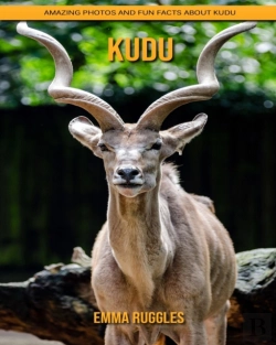 Bertrand.pt - Kudu