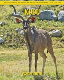Bertrand.pt - Kudu