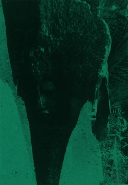 Bertrand.pt - Kudzanai-Violet Hwami