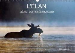 Bertrand.pt - L Elan Geant Des Forets Du Nord Calendrier Mural 2018 Din A3 Horizontal