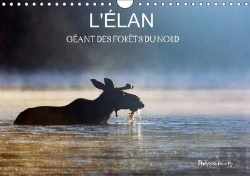 Bertrand.pt - L Elan Geant Des Forets Du Nord Calendrier Mural 2018 Din A4 Horizontal