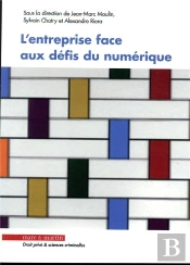 L Entreprise Face Aux Defis Du Numerique