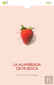 La Alambrada En Mi Boca