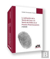 La Aplicacion De La Teoria Del Caso Y La Teoria Del Delito En El