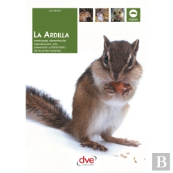 Bertrand.pt - La Ardilla