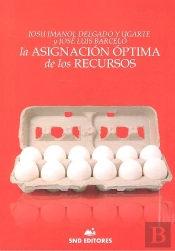 La Asignacion Optima De Los Recursos
