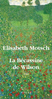 La Bécassine De Wilson