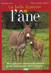 La Belle Histoire De L'Ane
