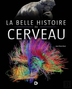 Bertrand.pt - La Belle Histoire Du Cerveau