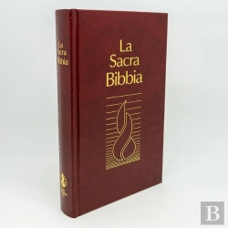 Bertrand.pt - La Bibbia Nuova Riveduta : Copertina Rigida Bordeaux
