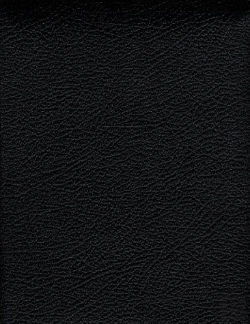 Bertrand.pt - La Bible ; Ancien Testament Et Nouveau Testament