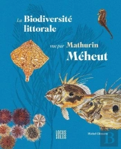 La Biodiversité Littorale Vue Par Mathurin Méheut