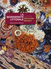 La Biodiversité Littorale Vue Par Mathurin Méheut