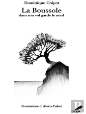 La Boussole Dans Son Vol Garde Le Nord