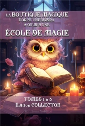 La Boutique Magique Force Thélindra À Ouvrir Une École De Magie : Intégrale Tomes 1 À 3