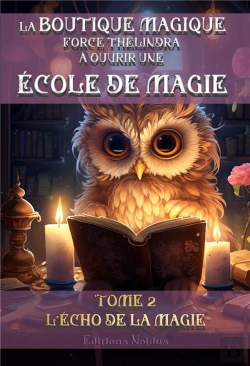 Bertrand.pt - La Boutique Magique Force Thélindra À Ouvrir Une École De Magie Tome 2 : L'Écho De La Magie
