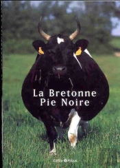 La Bretonne Pie Noire
